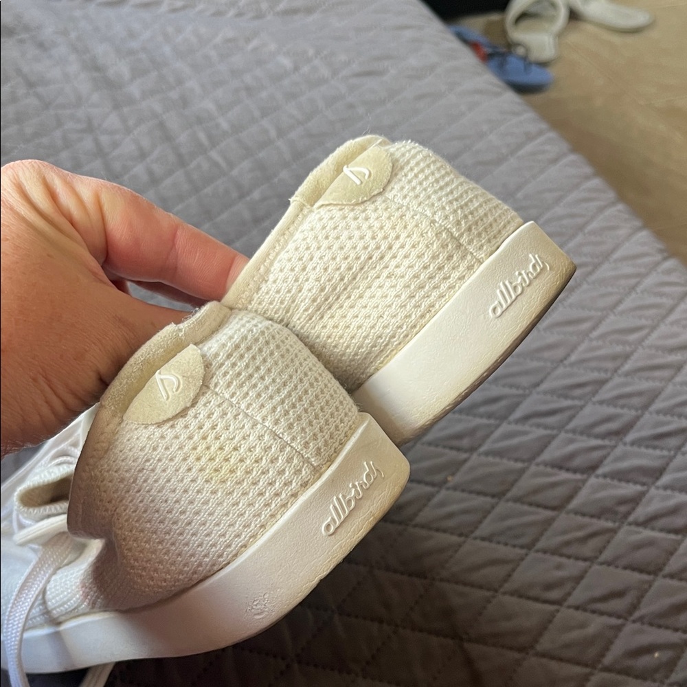 Allbirds Cream Knit Sneakers